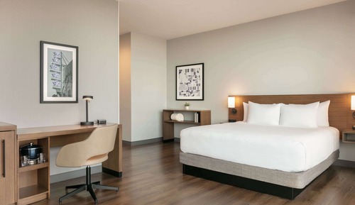 Suite, 1 King Bed with Sofa bed