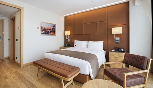 Room, 1 King Bed, Accessible