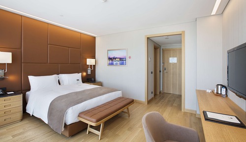 Room, 1 King Bed