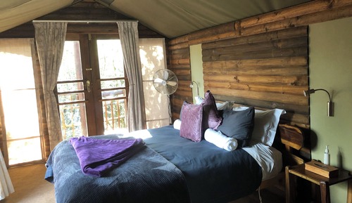 Deluxe Tent