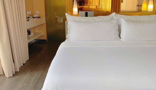 Luxury Suite