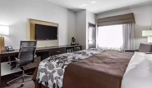 Standard Room, 1 King Bed, Non Smoking