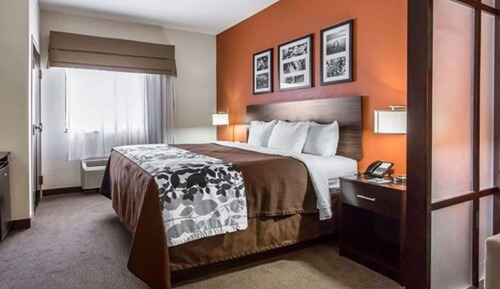 Suite, 1 King Bed, Non Smoking