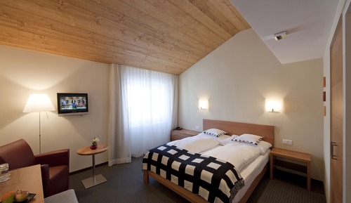 Comfort Double Room (Style)