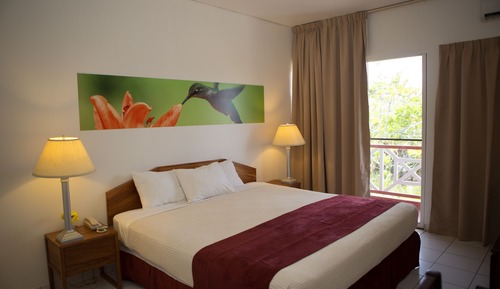 Room, 1 King Bed