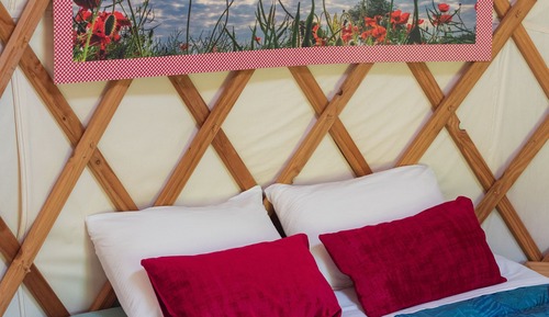 Comfort Tent, Mountainside