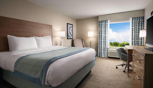 Standard Room, 1 King Bed, Non Smoking, Refrigerator & Microwave