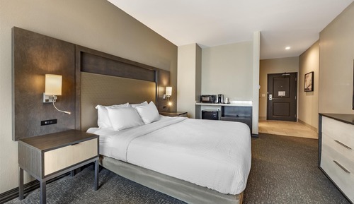 Standard Room, 1 King Bed, Accessible, Non Smoking