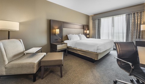 Standard Room, 1 King Bed, Non Smoking (Walk-in Shower)
