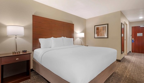 Room, 1 King Bed, Non Smoking (Efficiency)