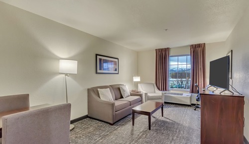 Suite, 1 King Bed, Accessible, Non Smoking (Efficiency)