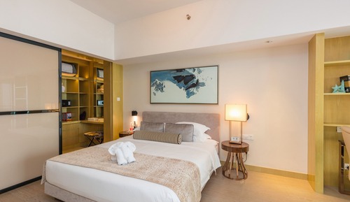 Business Suite, 1 Bedroom