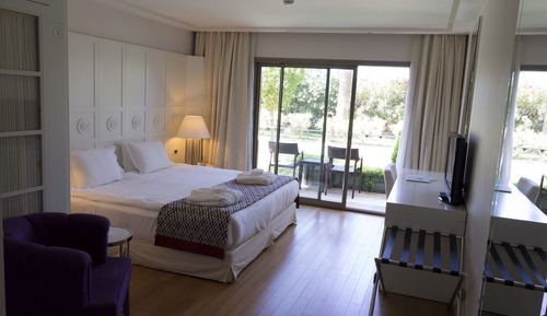 Luxury Room