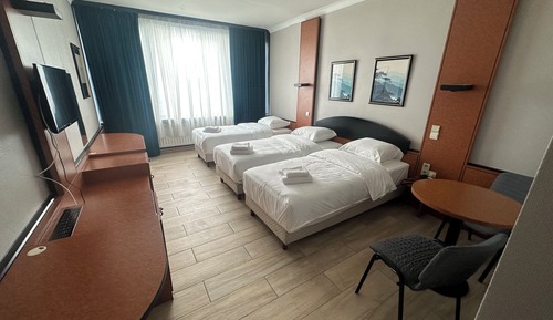 Business Triple Room