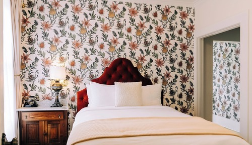 Suite, 1 Queen Bed