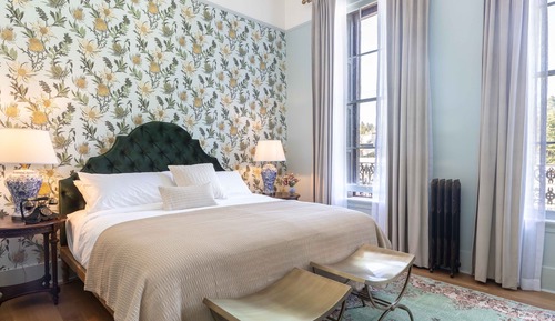 Room, 1 King Bed