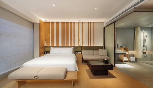 Room, 1 King Bed, Accessible