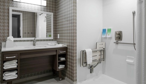 Studio, 1 King Bed, Accessible (Mobility & Hearing, Roll-In Shower)