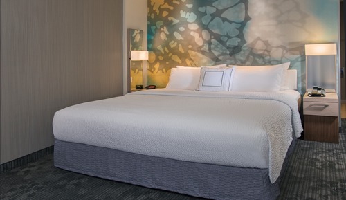 Room, 1 King Bed with Sofa bed