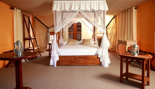 Luxury Tent