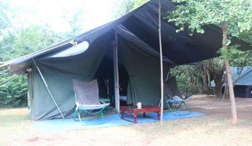Classic Tent, 2 Twin Beds, Garden View, Garden Area