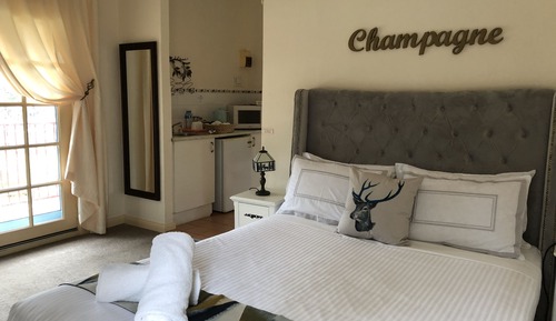 Deluxe Queen Pool View Room (Champagne)