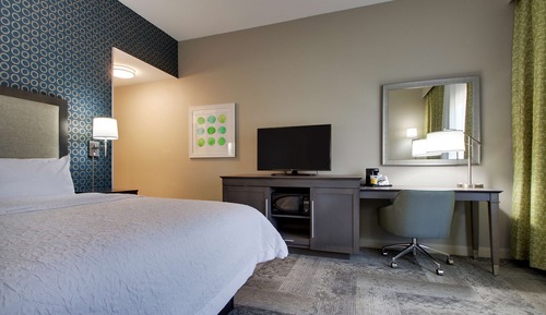 Room, 1 King Bed, Refrigerator & Microwave