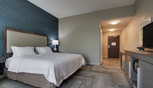 Room, 1 King Bed, Accessible (Roll-In Shower)
