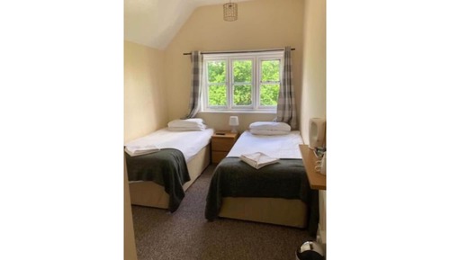 Basic Twin Room