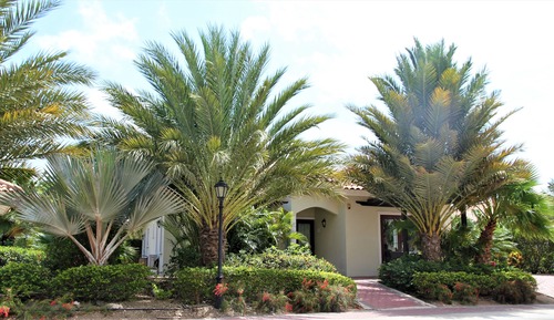 Three Bedroom Villa, Garden View