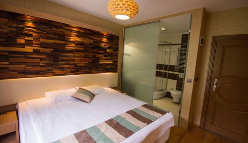 Deluxe Double or Twin Room, Mountain View