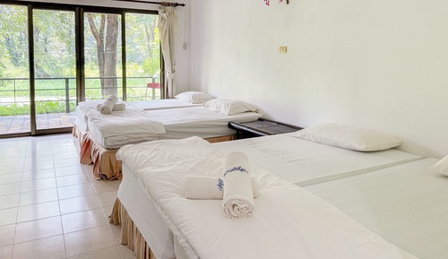 Family Twin Room