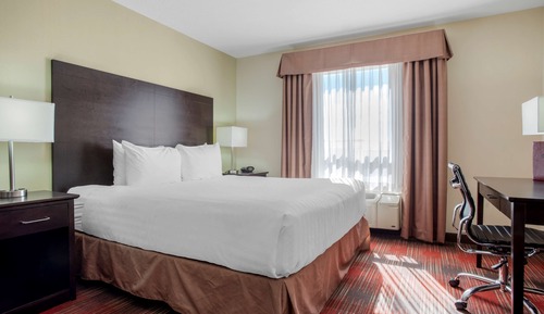 Suite, 1 King Bed, Non Smoking, Refrigerator & Microwave (with Sofabed)