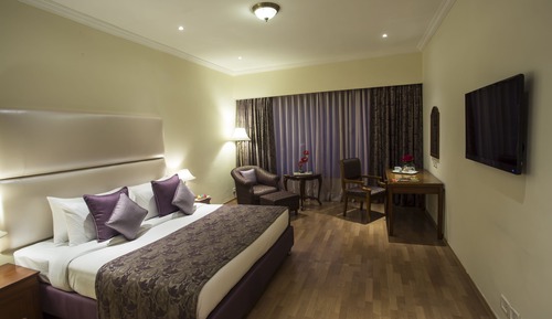 Residency, Room, 1 King Bed, City View