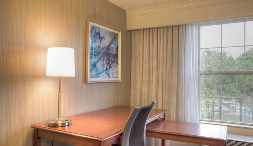 Room, 1 King Bed with Sofa bed, Non Smoking (Mobility/Hearing Access, Roll-In Shwr)