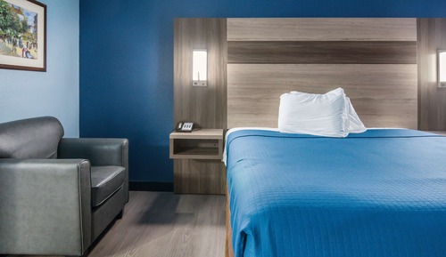 Standard Room, 1 King Bed, Non Smoking