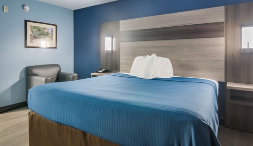 Room, 1 King Bed, Smoking