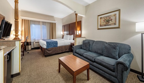 Suite, King, Sofabed, Non Smoking