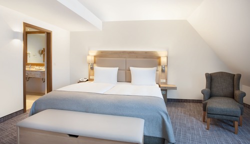 Standard Room, 1 King Bed