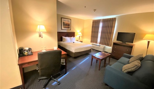 Suite, 1 Queen Bed, Non Smoking