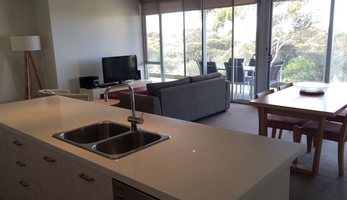 Deluxe One Bedroom Apartment - Resort View