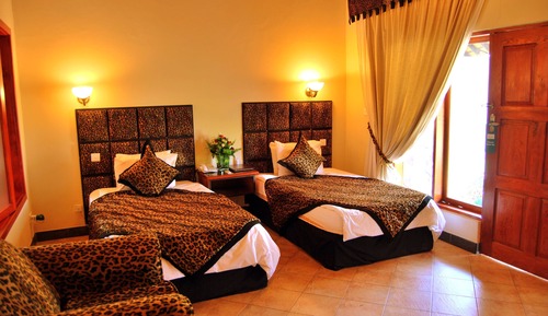Standard Room, 2 Twin Beds