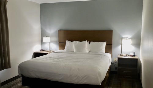 Suite, 1 King Bed with Sofa bed, Non Smoking (Efficiency)