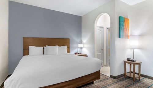 Room, 1 King Bed with Sofa bed, Non Smoking (Efficiency)