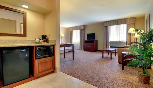 Studio Suite, 1 King Bed with Sofa bed