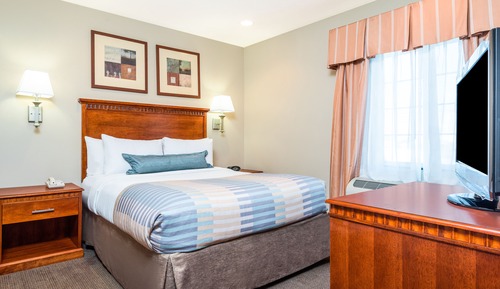 Suite, 1 Bedroom