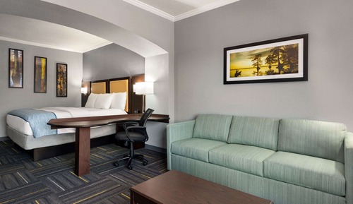 Suite, 1 Bedroom, Non Smoking (1 King Bed)