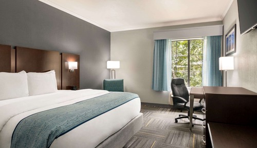 Room, 1 King Bed, Non Smoking