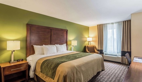 Standard Room, 1 King Bed, Non Smoking