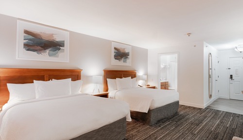 Studio, Multiple Beds, Non Smoking